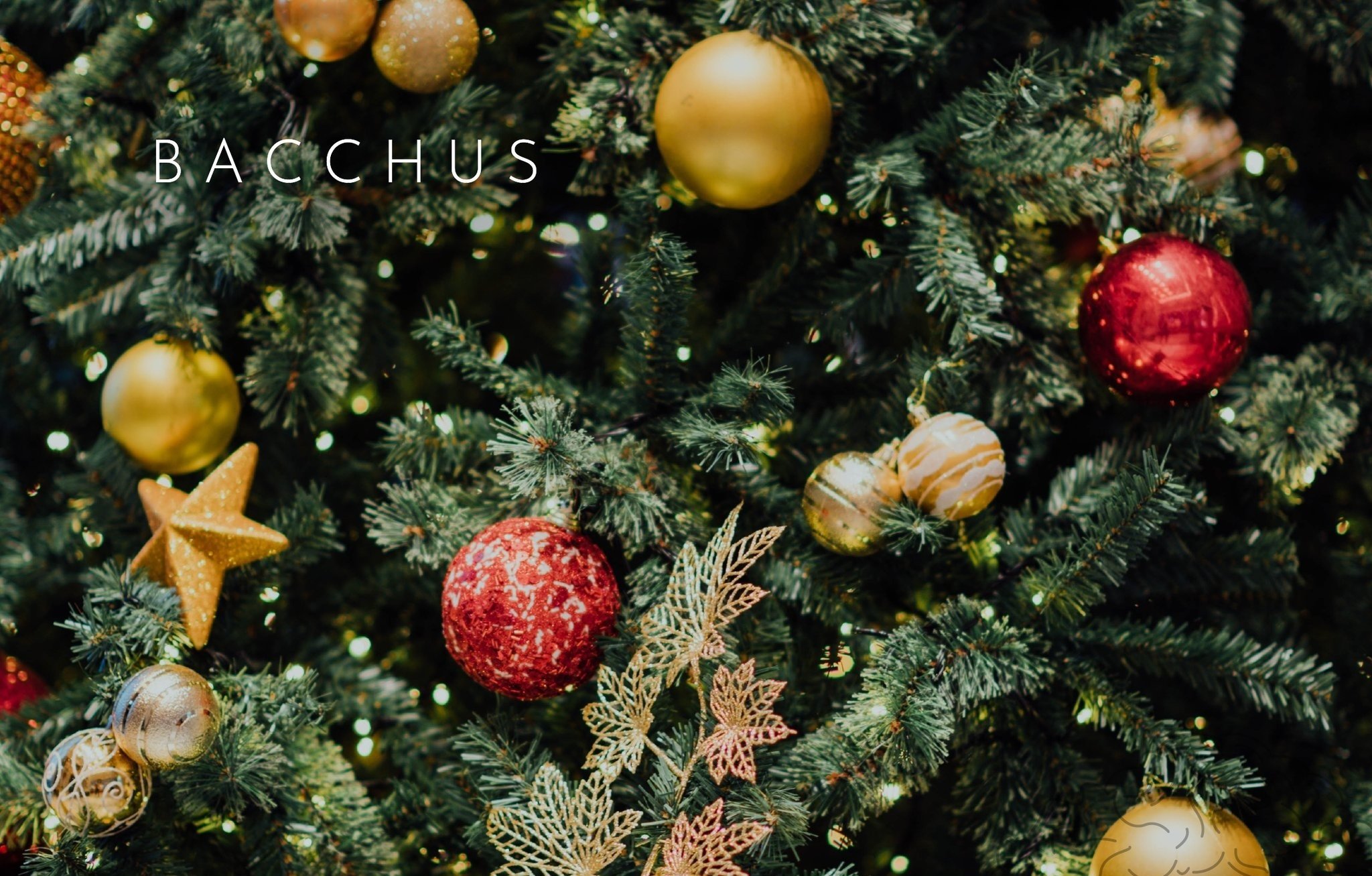 Bacchus Restaurant -  New Years celebration in Malta