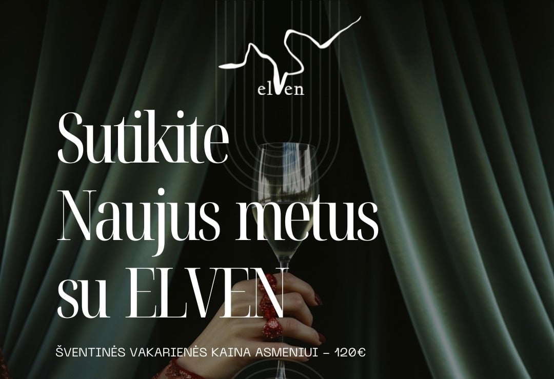 Elven - Naujuju sutikimas Vilniuje