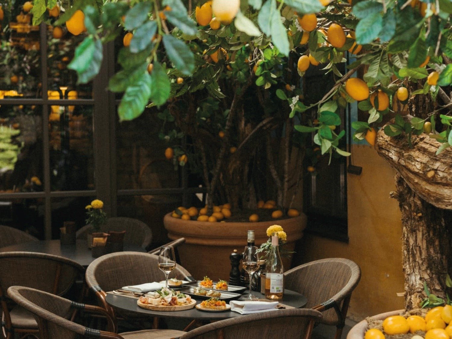 Firenze - Italiskas restoranas Vilnius - Italian restaurant Vilnius