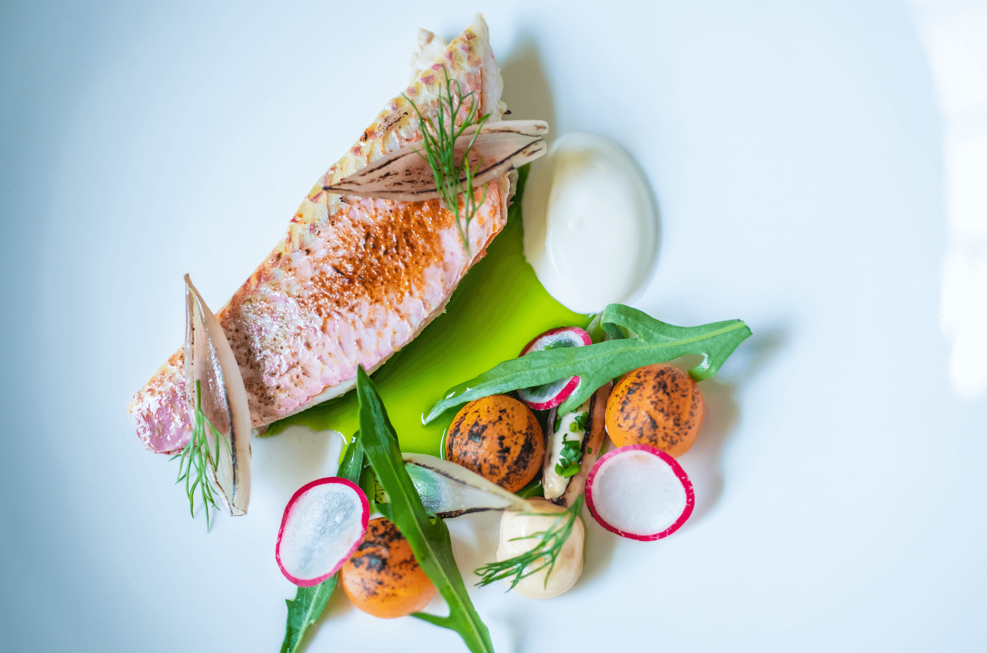 Grotto Tavern - tasting menu - restaurants in Malta-1