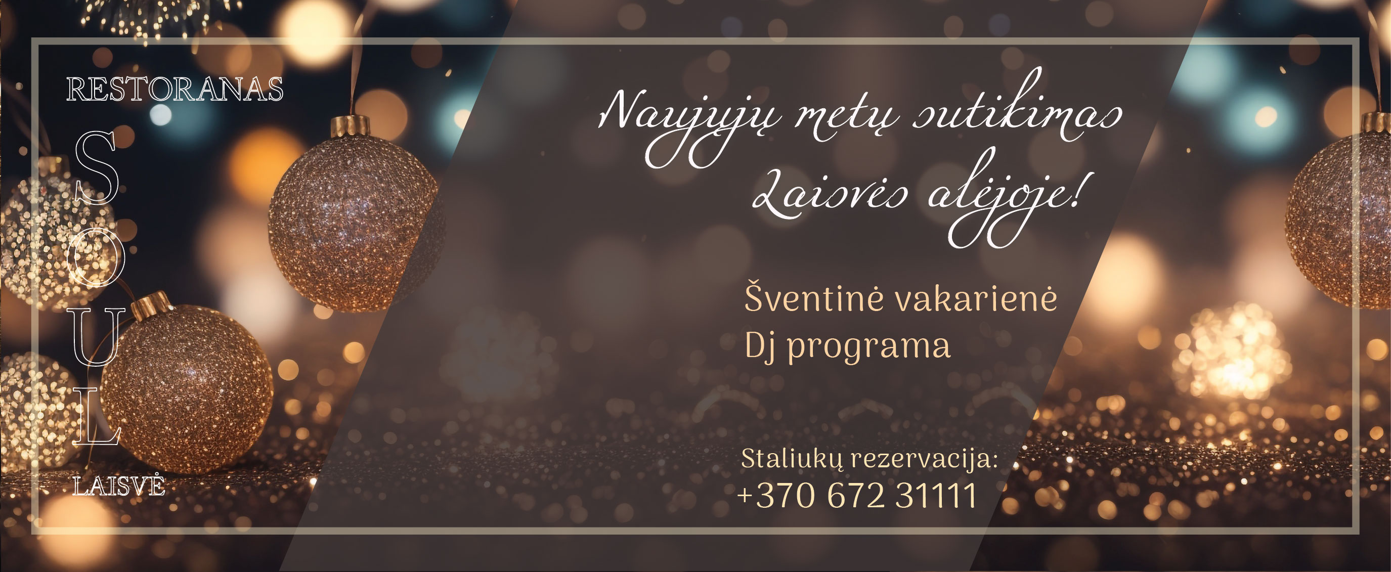 Soul Laisve -  Naujuju sutikimas Kaune