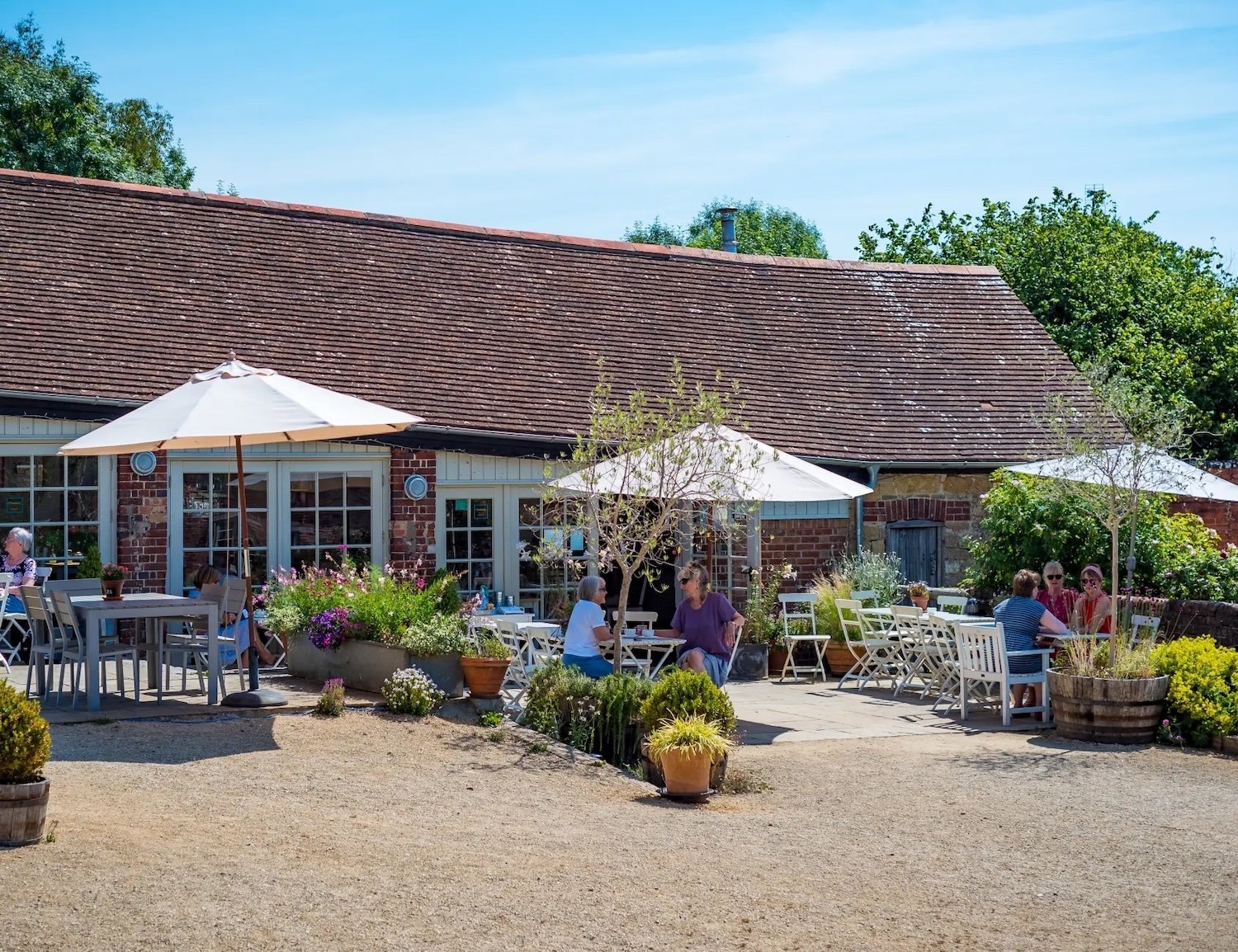 Symondsbury Kitchen - the best fish and chips in England   